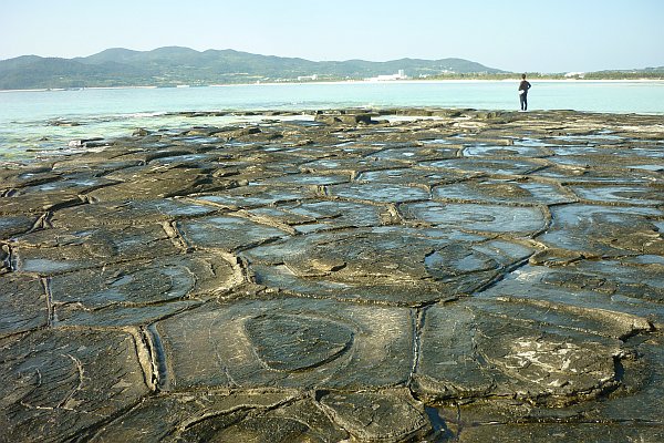 奥武島畳石